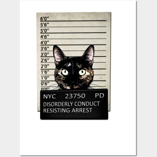 Kitty Mugshot Posters and Art